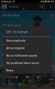 AL QURAN MP3 OFFLINE LENGKAP screenshot 1