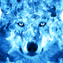 Ice Fire Wolf Wallpapers