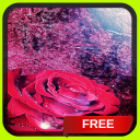 Red Rose Sparkle Live Wallpape Icon