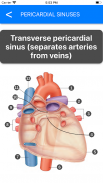 Anatomy Atlas for Students - Lite Version screenshot 10