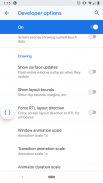 Developer Options screenshot 0