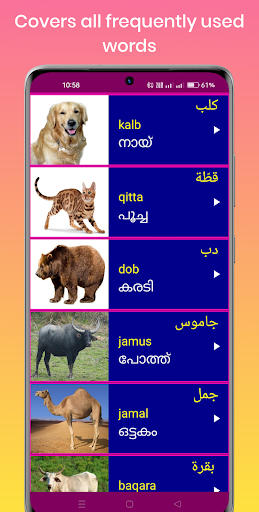 Learn Arabic From Malayalam - APK Download for Android | Aptoide