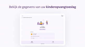 Toeslagen screenshot 7