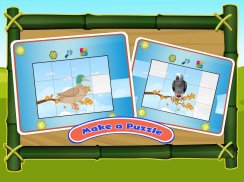 bird sounds fun learning games - coloring & puzzle screenshot 1