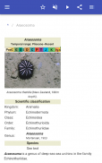 Sea urchins screenshot 5