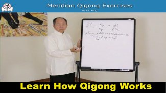 Meridian Qigong Exercises screenshot 5