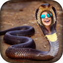 Snake Photo Frame Icon