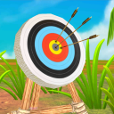 Archery Bow Challenges Icon