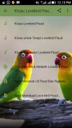 Kicau Lovebird Paud Juara screenshot 1