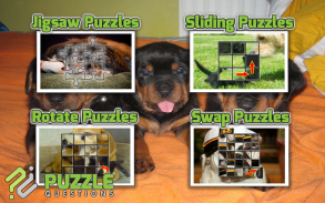 Free Dogs and Cats Puzzles screenshot 2