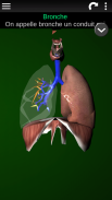 Organes Internes en 3D (Anatomie) screenshot 3