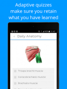 Daily Anatomy: Flashcard Quizzes to Learn Anatomy screenshot 6