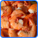 Shrimp Recipes: Shrimp dinner, Shrimp salad