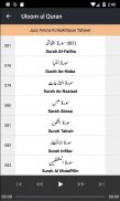Uloom ul Quran - Audio screenshot 1