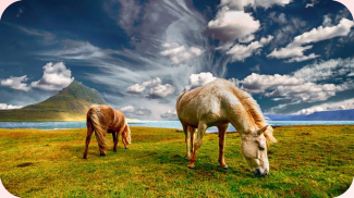 Пазлы - Красивые Лошади и Пони screenshot 7