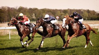 Horse Racing Wallpapers screenshot 8