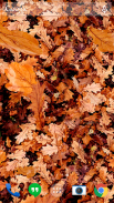 Autumn leaves 3D LWP screenshot 9