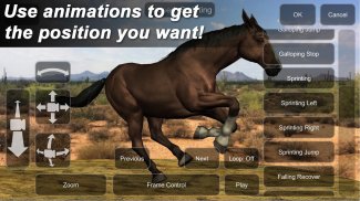 Horse Mannequin screenshot 2