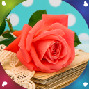 Rose fleur direct fonds écran Icon