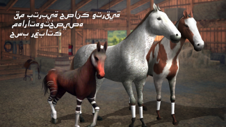 Photo Finish Horse Racing screenshot 3