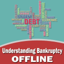 Understanding Bankruptcy Books