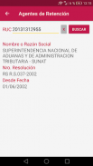 Consultas RUC Perú screenshot 2