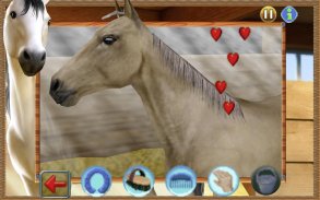 My Western Horse – Free screenshot 4