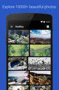 WallRey - Free 10000+ Elegant HD 4K wallpapers screenshot 0