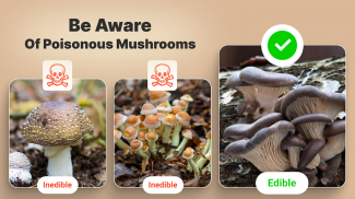 Mushroom Identification screenshot 6