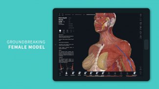 Complete Anatomy 19 for Android screenshot 15