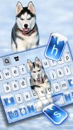 Ice Husky Keyboard Background screenshot 4