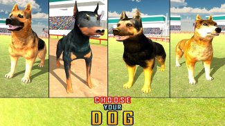 สุนัขแข่งวิบากและกระโดด 3D ซิม screenshot 15