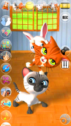 Talking 3 Friends Cats & Bunny screenshot 1