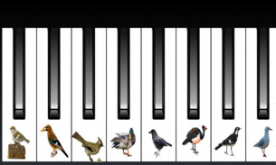 SHEEP CAT BIRD PIANO screenshot 4