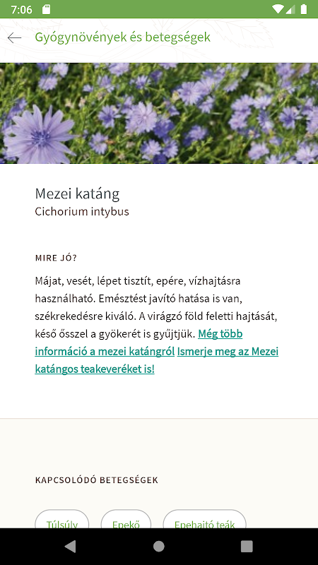 oldal kókusz találkozó magyar társkereső