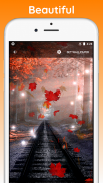 Autumn Live Wallpaper screenshot 4