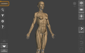 Anatomia per l'Artista 3D screenshot 1