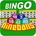 Bingo Nine Balls Icon