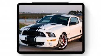 Wallpapers For Mustang Shelby Cars screenshot 2