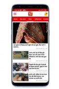 UP News, Uttar Pradesh News screenshot 6