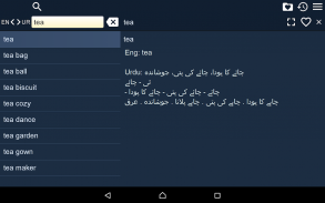 English Urdu Dictionary screenshot 7