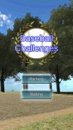 Baseball Challenges screenshot 7