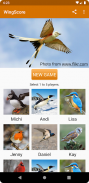 WingScore screenshot 6