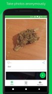 Canna - Instagram for Weed! screenshot 0