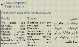 Coptic Reader screenshot 3