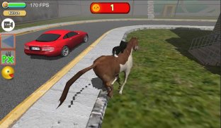 Cat Simulator : your kitty can ride bike and horse screenshot 2