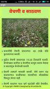 Cotton (KAPUS) VNMKV, Parbhani screenshot 2