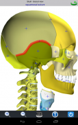 Visual Bones screenshot 1
