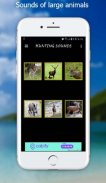 أصوات الصيد screenshot 1