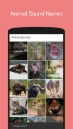 Animal Sounds For Kids screenshot 1